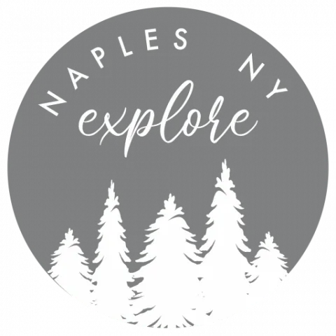 cropped-Explore-Naples-NY-Transparent-Background-Black-480x480